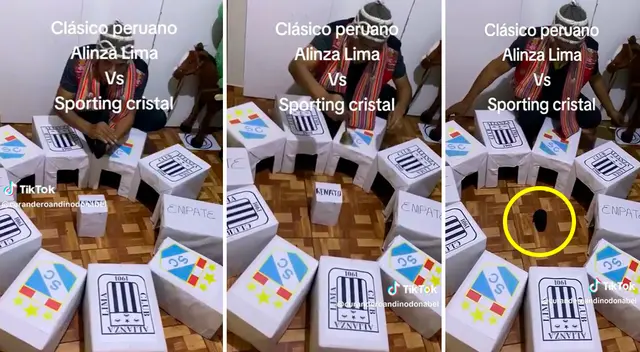 Tras colocar unas cajas en círculos con los logos de los equipos peruanos, el cuy ingresó solo a una. Tras colocar unas cajas en círculos con los logos de los equipos peruanos, el cuy ingresó solo a una.