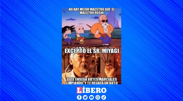 Recuerdan a los mejores maestros del cine y televisión, ser. Miyagi y Roshi.