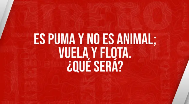 Pon a prueba tu habilidad deductiva y resuelve este enigma.