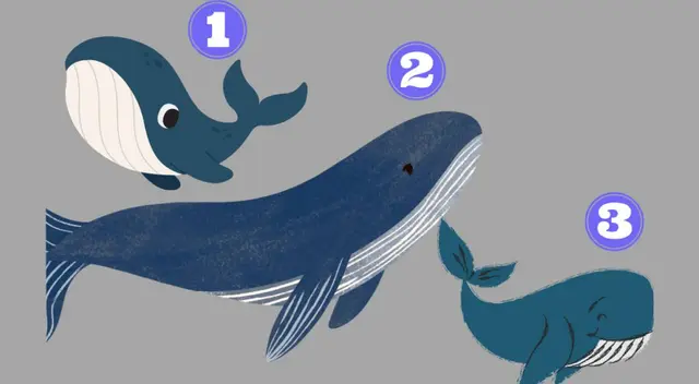 ¿Qué ballena eliges? Solo una será la que te diga la verdad sobre ti