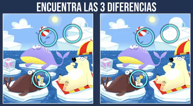 Reto visual.