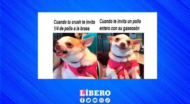 Los jóvenes exigen un pollo a la brasa con una gaseosa y es viral en redes. Los jóvenes exigen un pollo a la brasa con una gaseosa y es viral en redes.