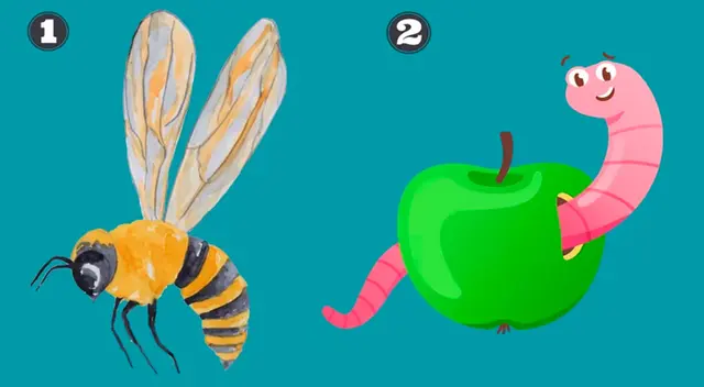 Uno de los dos insectos que aparecen en el TEST VISUAL te dirá cómo eres en realidad frente a los demás.
