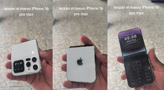El video se volvió viral en la red social del momento en cuestión de días.