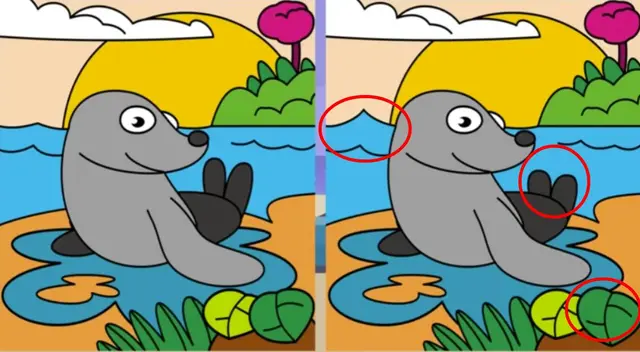 reto visual