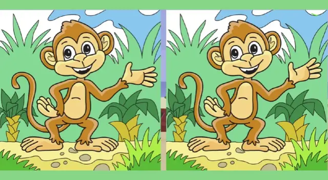 Ubicar las desigualdades entre las imágenes no será sencillo.