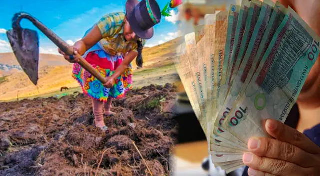 Conoce más detalles sobre el Bono Agrario que entrega el Gobierno del Perú. Conoce más detalles sobre el Bono Agrario que entrega el Gobierno del Perú.