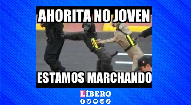 Fiestas Patrias 2023: así es la celebración con memes hilarantes