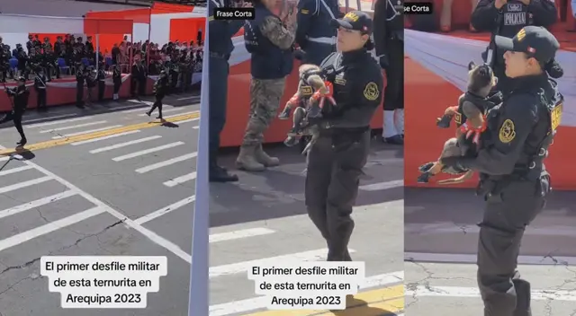 Los diversos integrantes de la Policía Nacional desfilaron junto a los perritos.