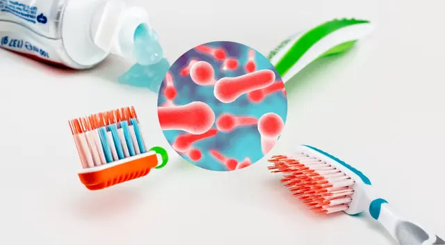 Dejar tu cepillo de dientes en el baño puede ser perjudicial Dejar tu cepillo de dientes en el baño puede ser perjudicial
