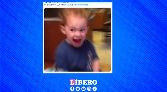 La reacción de algunas personas al ver a los canes en el Desafile Militar.