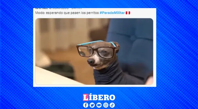 Todos esperaban que los perritos de la policía  desfilen en la Parada Militar.