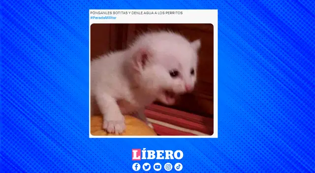 Algunas personas se mostraban preocupadas por el bienestar de los perritos.