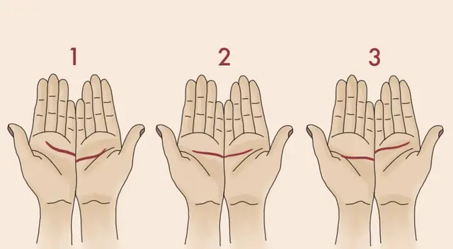 La mano que sea igual a la tuya te dirá cómo quieres que sea tu próxima pareja. La mano que sea igual a la tuya te dirá cómo quieres que sea tu próxima pareja.