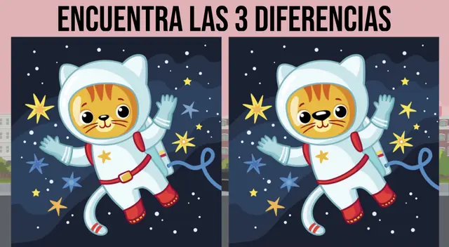 Pon a prueba tu destreza visual y halla en segundos las diferencias en los gatos.