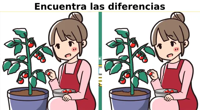 Encuentra las diferencias y prueba que tienes una asombrosa destreza visual. Encuentra las diferencias y prueba que tienes una asombrosa destreza visual.