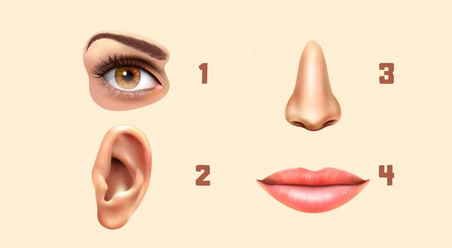 Resolver este test de personalidad no te tomará mucho tiempo.