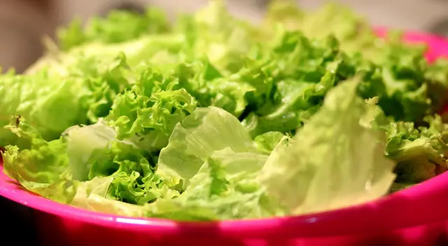 La inclusión de verduras en la dieta es muy importante para la salud La inclusión de verduras en la dieta es muy importante para la salud