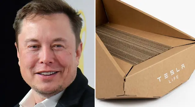 Elon Musk anunció la venta de un producto dedicado para los gatos: conoce el precio único. Elon Musk anunció la venta de un producto dedicado para los gatos: conoce el precio único.