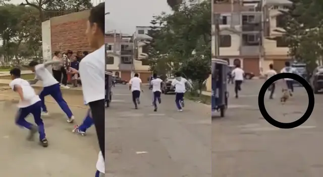 Pese al susto generado por el perro, los estudiantes no sufrieron daño alguno.