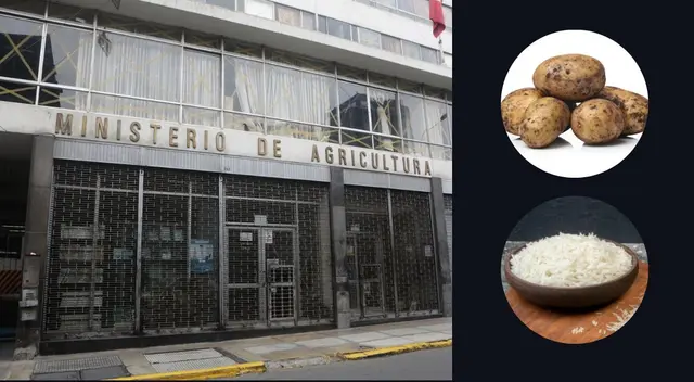 Los alimentos en mención son sumamente importante en la comida de las familias peruanas.
