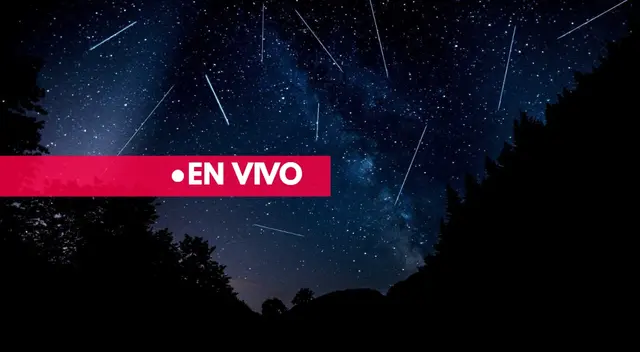 No te pierdas la lluvia de estrellas de las Perseidas, y conoce los detalles en la siguiente nota.