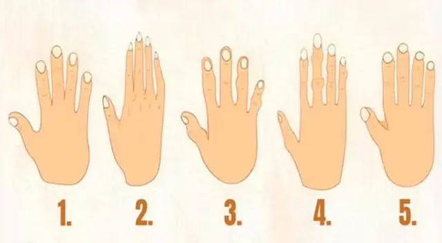 ¿Cuál es la mano que más se parece a la tuya? Responde rápidamente. ¿Cuál es la mano que más se parece a la tuya? Responde rápidamente.