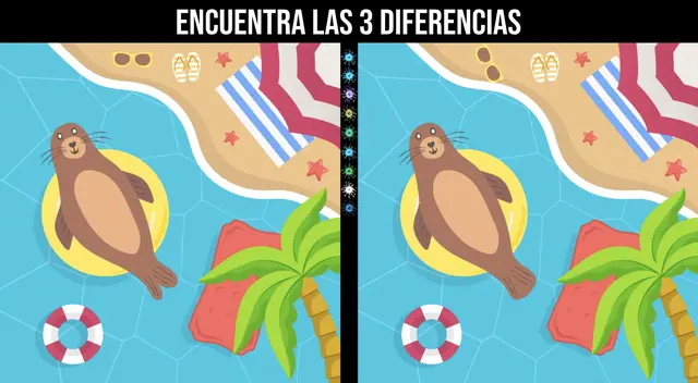 Reto visual