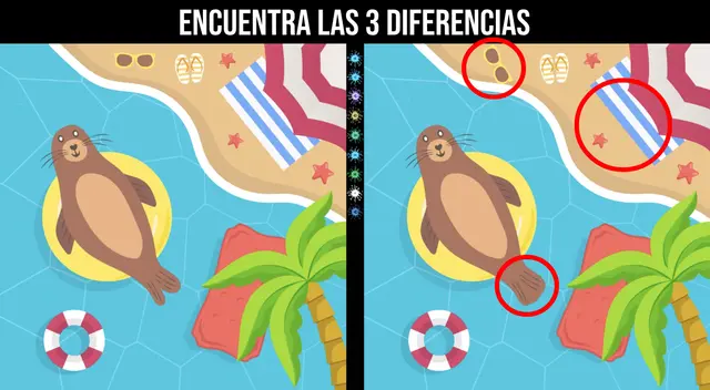 Reto visual