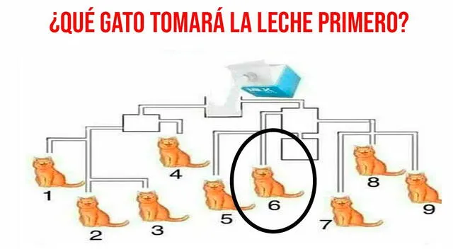acertijo visual