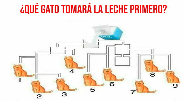 acertijo visual
