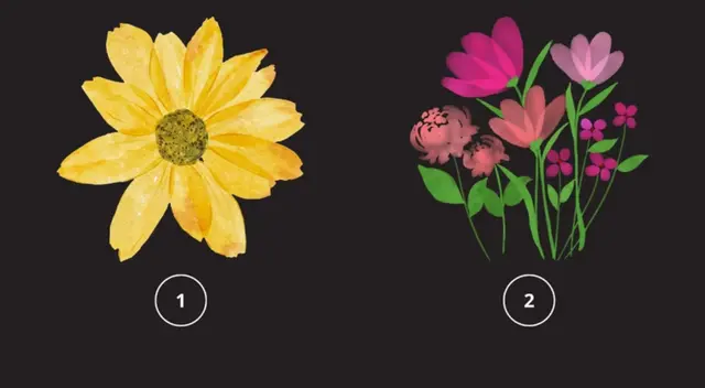 Mira las opciones y elige una de las flores de manera esporádica. Mira las opciones y elige una de las flores de manera esporádica.
