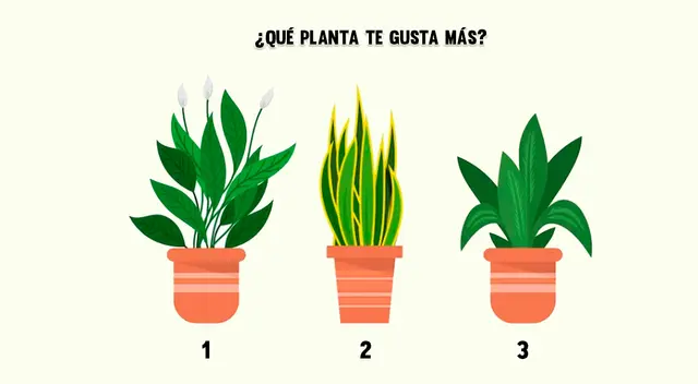 test de personalidad