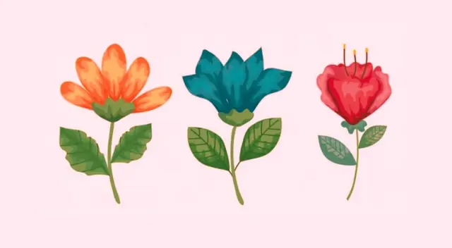 ¿Qué flor llama más tu atención? Una de las tres guarda un gran mensaje para ti.