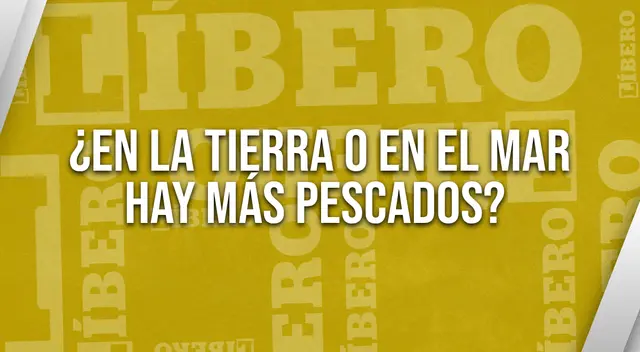 Reta tu capacidad de análisis y responde rápidamente el enigma.