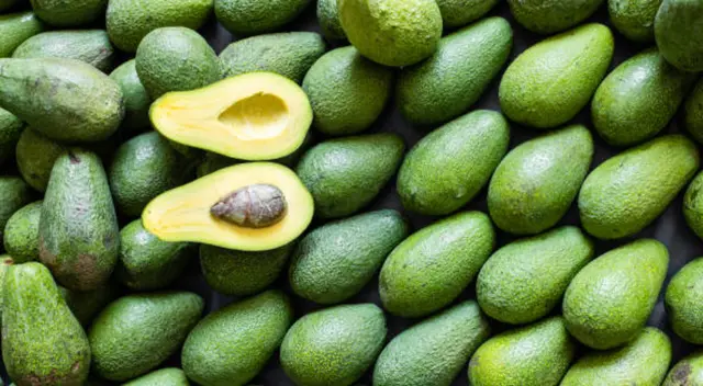 ¿Las personas pueden consumir el hueso de aguacate?