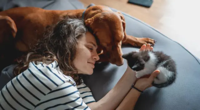 Pide que te capten teniendo una interacción natural con tu mascota
