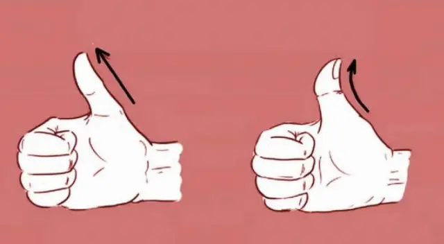 Descubre si eres alguien dominante con la forma de tu pulgar Descubre si eres alguien dominante con la forma de tu pulgar