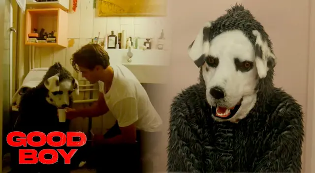 'Good Boy 2023' es la nueva película de terror del hombre disfrazado de perro, que se estrenará el próximo 8 de septiembre.