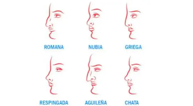 Encuentra tu tipo de nariz y conoce más de ti en simples pasos Encuentra tu tipo de nariz y conoce más de ti en simples pasos