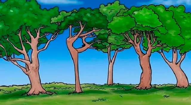 retos visuales