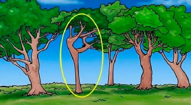 retos visuales