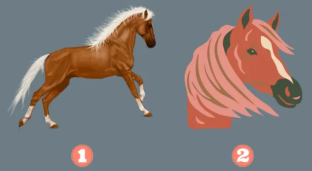 ¿Opción 1 o 2? Según tu primera elección, obtendrás un consejo para mejorar tus actitudes.