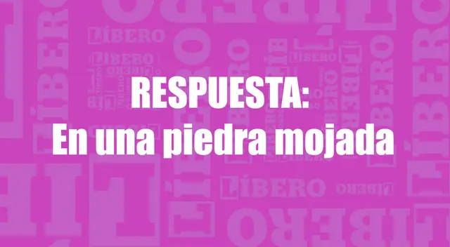 acertijo visual
