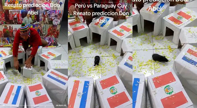 Mira la última predicción del Cuy Renato para el Perú vs. Paraguay. Mira la última predicción del Cuy Renato para el Perú vs. Paraguay.