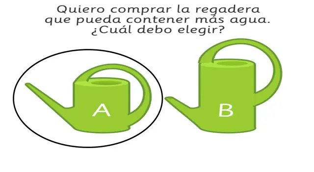 acertijo visual