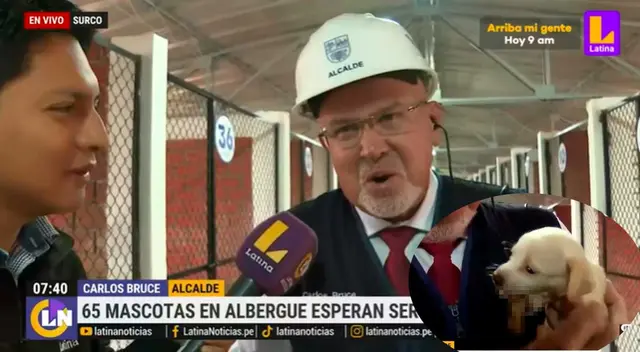Carlos Bruce sufrió un curioso incidente con un perro bebé que busca adopción en Surco. Carlos Bruce sufrió un curioso incidente con un perro bebé que busca adopción en Surco.