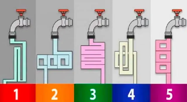 Por el momento, un promedio del 99% de los participantes salió victorioso en este acertijo visual.