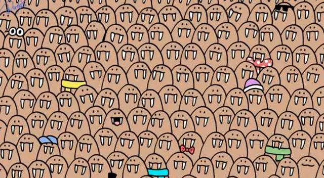 Si logras ubicar a las 5 focas en 10 segundos serás llamado GENIO. ¿Podrás?