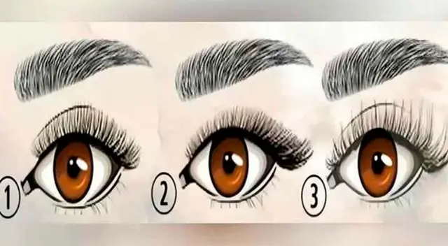 ¿Sabías que la forma de tus pestañas revelarán detalles sobre ti? ¿Sabías que la forma de tus pestañas revelarán detalles sobre ti?